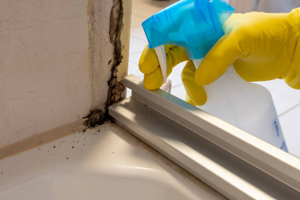 Best Mold Testing  in Queensland, MD